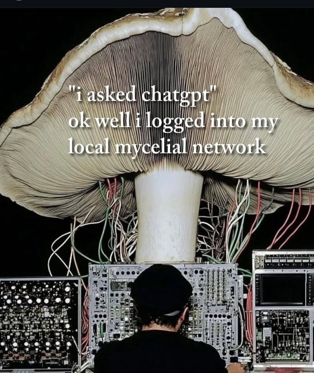 mycelial_network.jpeg